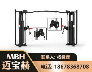 天水大飞鸟训练器